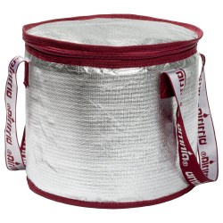 Cool Bag with Ice Packs