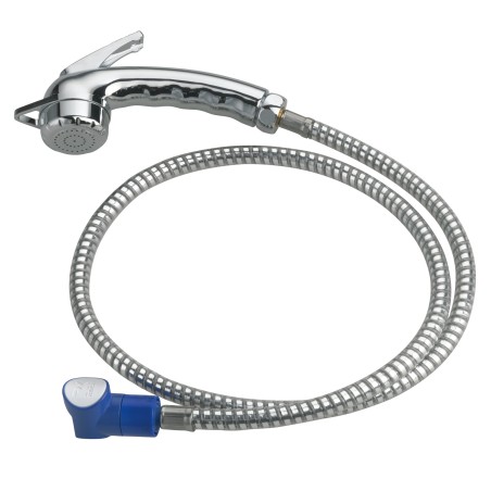 Shower Charisma with Hose...