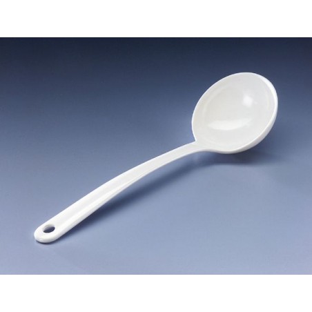 Ladle