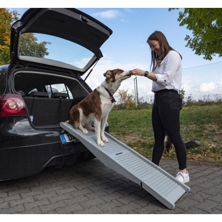 Plastic dog ramp Emma