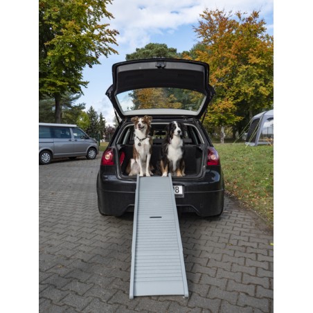 Plastic dog ramp Emma