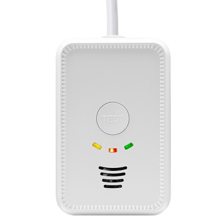 LPG/CO Gaswarner 12 V - 2 in 1