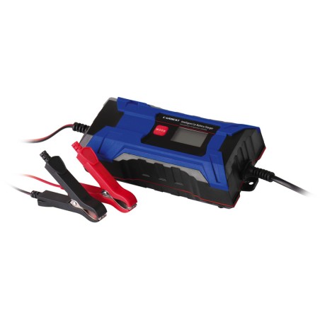 Intelligent 6/12 V battery...