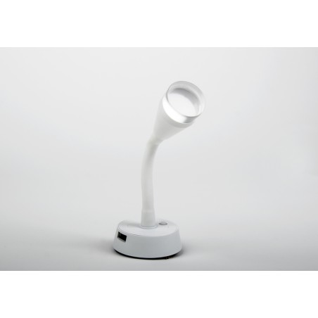 LED spot with flexible arm...