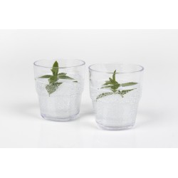 Jug with screw cap