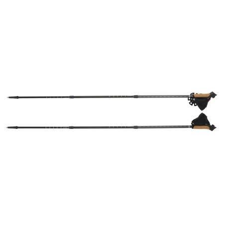 Μπατόν Nordic Walking...