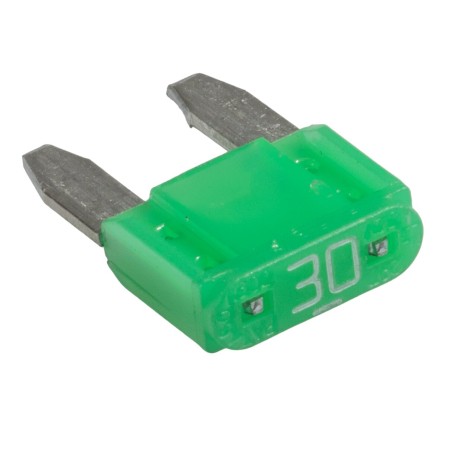 Fuse 30 A for C1 (PCB)