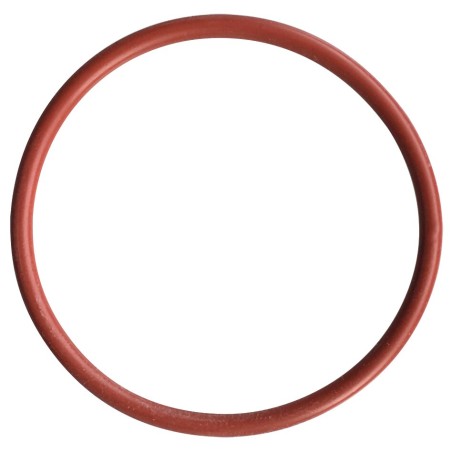O-Ring 47 x 1 mm, VMQ