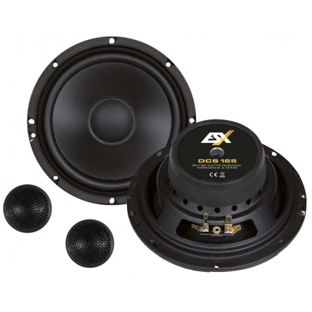 Speaker System ESX DCS165