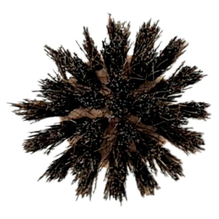 Spare Dish Brush Head