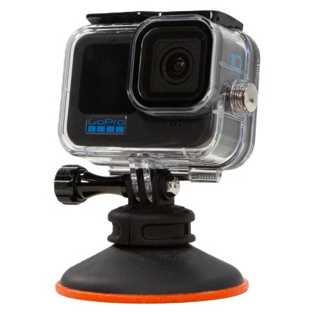 Saugnapf mit ActionCam...