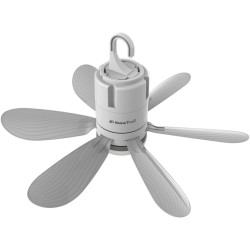 Ceiling fan with lamp