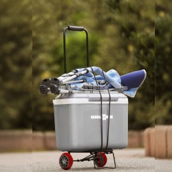 Hand Truck Trolley Pickup