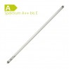 Fluorescent Tube 13 Watt