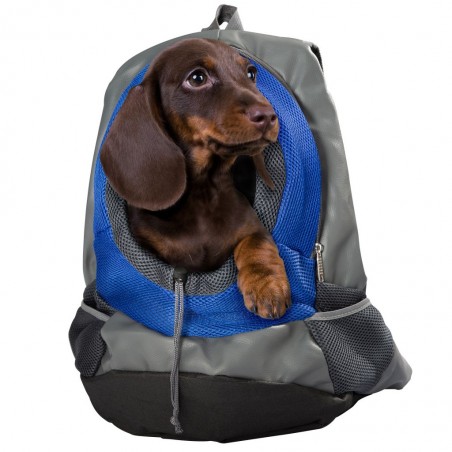 backpack for dogs