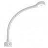 Gooseneck Lamp Type F