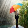 Big Picnic/Beach Parasol