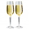 Champagne Glass Nesting Set of 2