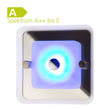 LED Ceiling Light