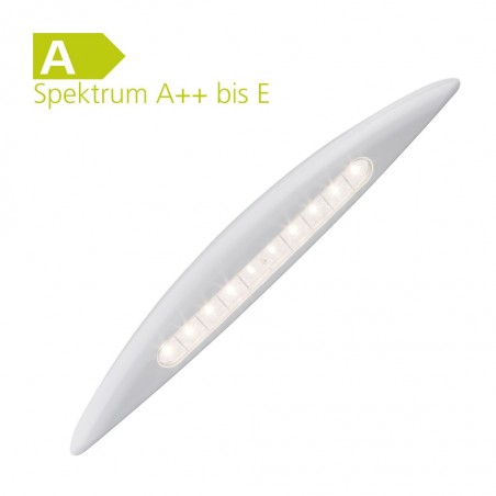 LED Entrance Light SL
