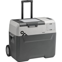 indelB LiON Cooler