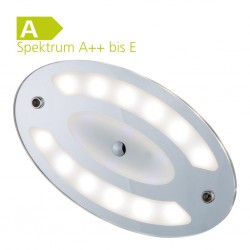 LED Ceiling Light Oval