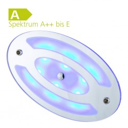 LED Ceiling Light Oval