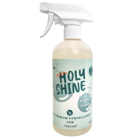 Special Cleaner Holy Shine...