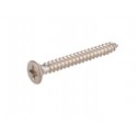 Fastening Screws